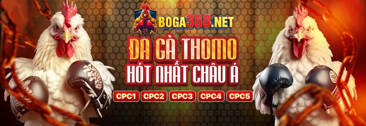 Đá gà trực tuyến XIN88